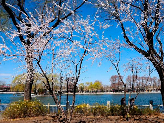 10 Dinge, die man in Peking sehen sollte (Teil 1) 10 Dinge, die man in Peking sehen sollte (Teil 1)