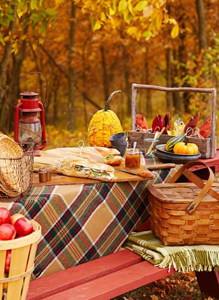 Berliner Picknick Berliner Picknick