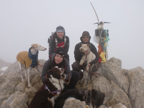 Botes i Potes: Wandern mit Hunden in Barcelona Botes i Potes: Wandern mit Hunden in Barcelona