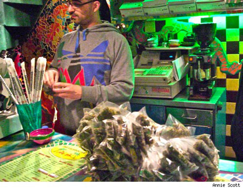 Der Cannabis Cup in Amsterdam