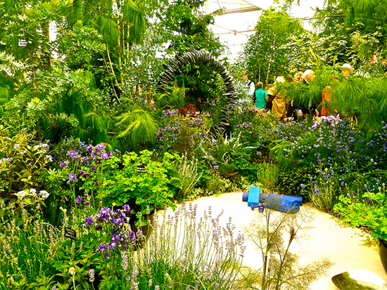 Chelsea Flower Show 2013