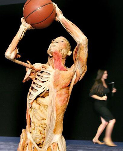 Ausstellung Bodies in New York