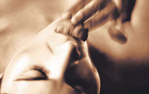 La petite mort de Will Santillo und Dian Hanson