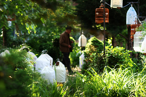 Top 6 New York Geheimnisse