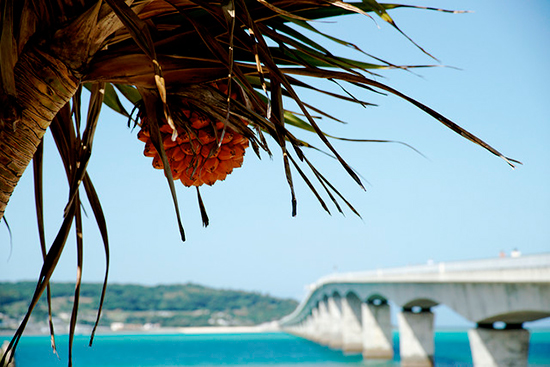 Paradiesische Strände in Okinawa (Japan) Paradiesische Strände in Okinawa (Japan)
