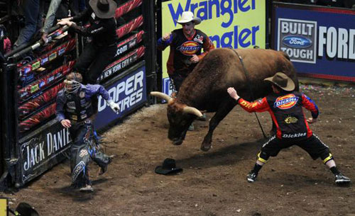 Professional Bull Riders in New York