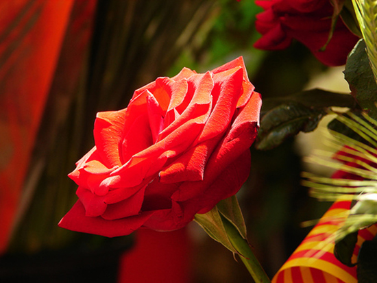 Tag des Heiligen Georg 2013 Tag des Heiligen Georg 2013