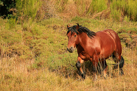 Sommerferien in den Bergen Sommerferien in den Bergen
