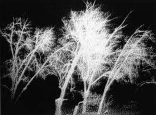 Das verlorene Paradies in Istanbul