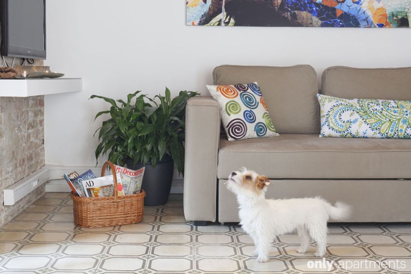 Welttierschutztag: Apartments, um mit Haustieren zu verreisen