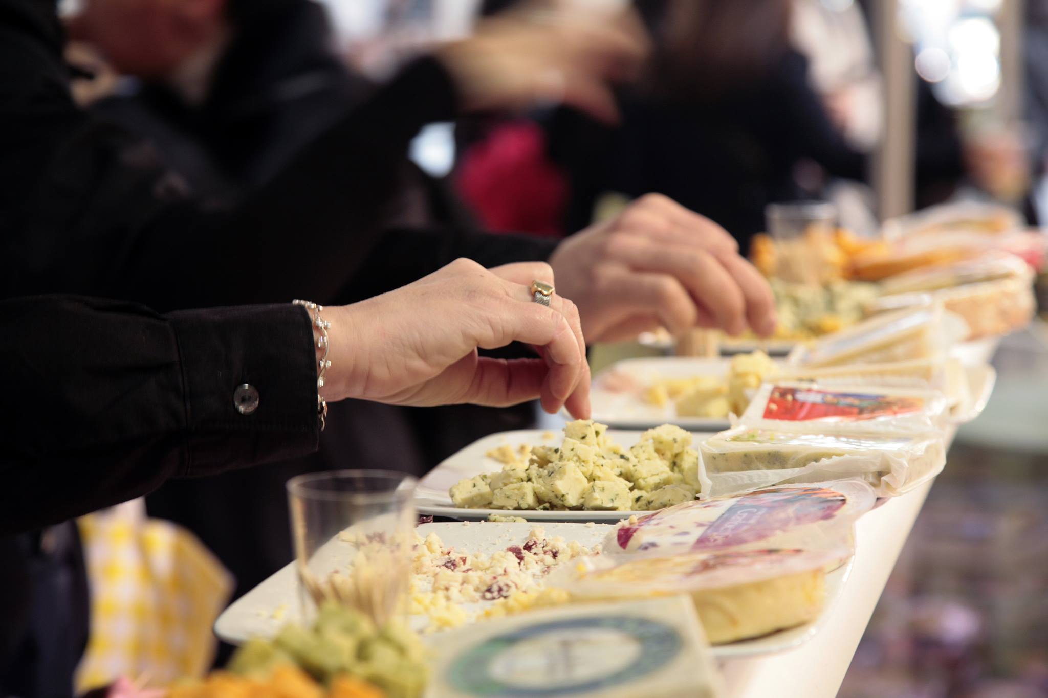 Die Barcelona Degusta 2015