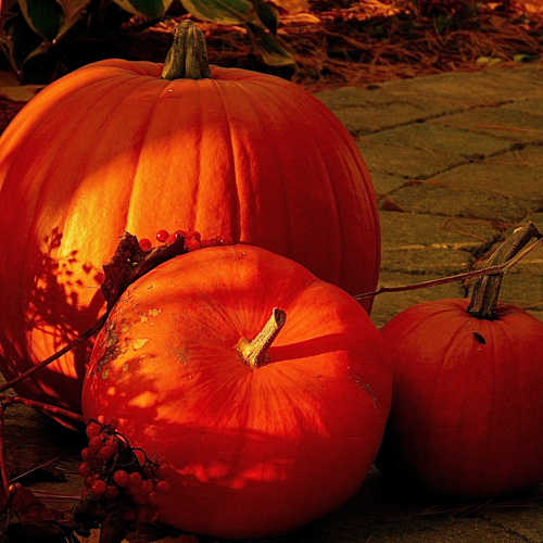 10 Reiseziele für ein schrecklich schönes Halloween 10 Reiseziele für ein schrecklich schönes Halloween